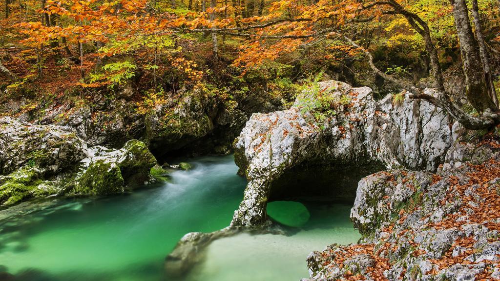 Apartments Bohinjskih 7 Dış mekan fotoğraf