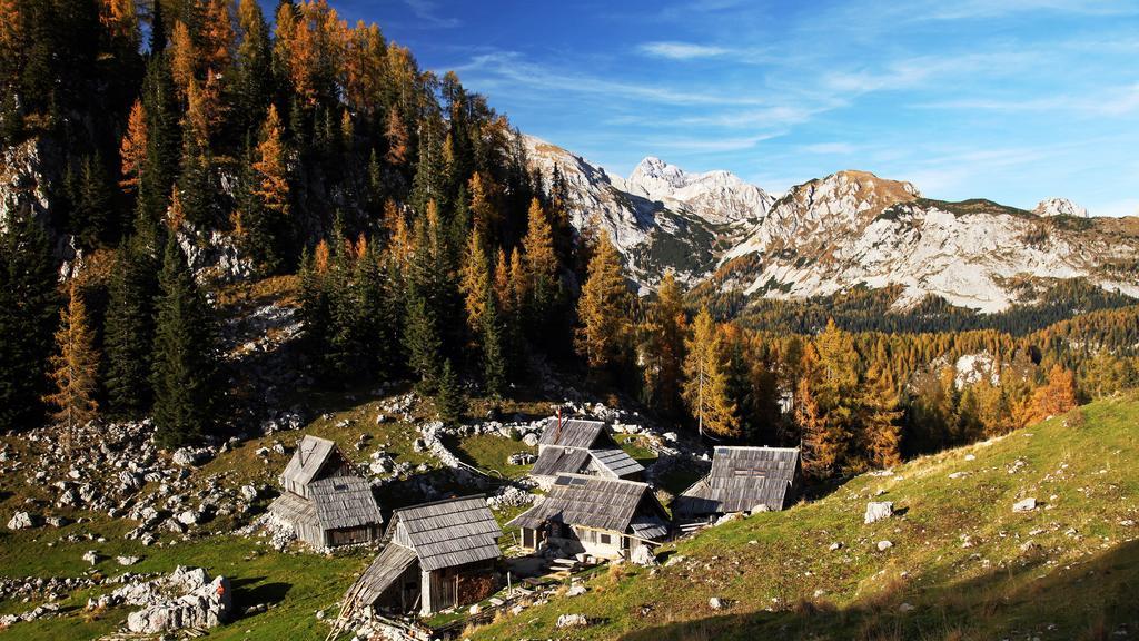 Apartments Bohinjskih 7 Dış mekan fotoğraf